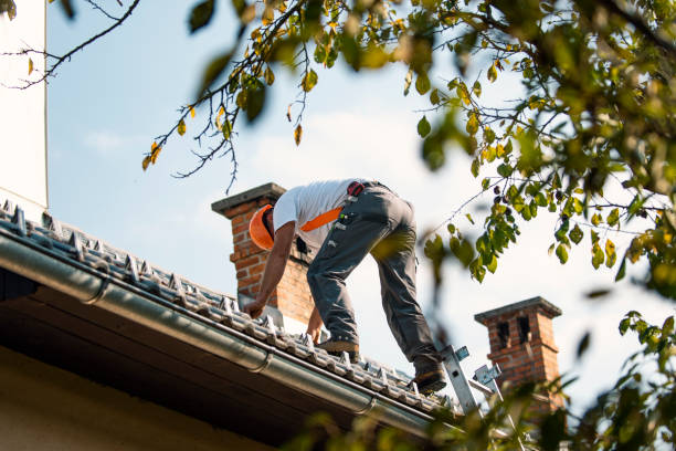 Best Roof Repair Specialists  in Bear Creek, AK