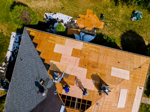 Best Metal Roofing Contractor  in Bear Creek, AK