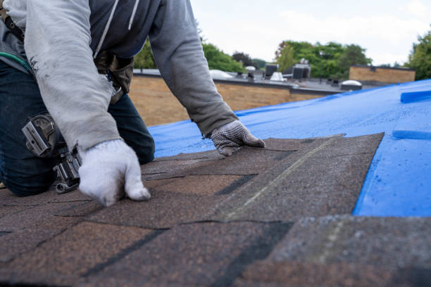 Best Slate Roofing Contractor  in Bear Creek, AK