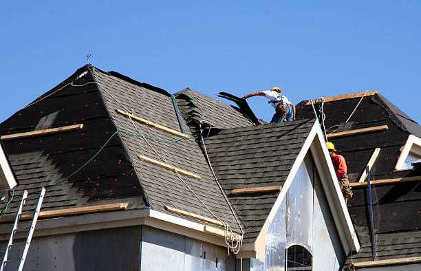 Best Roof Maintenance Services  in Bear Creek, AK