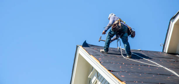 Best Flat Roof Repair Services  in Bear Creek, AK